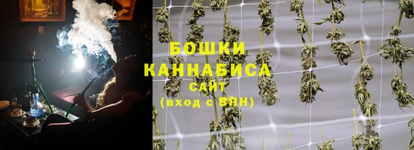 шишки Заводоуковск