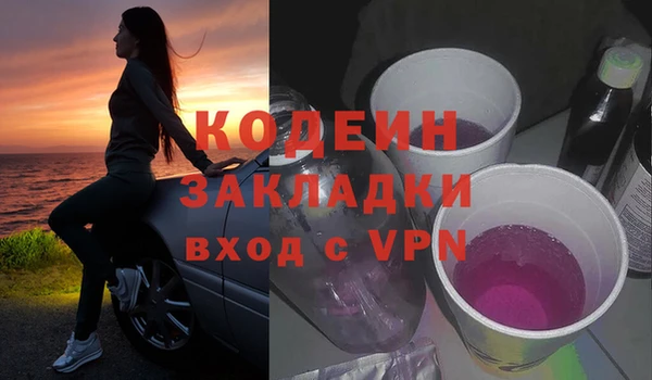 шишки Заводоуковск