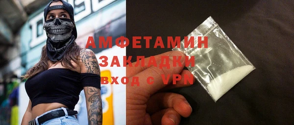 шишки Заводоуковск