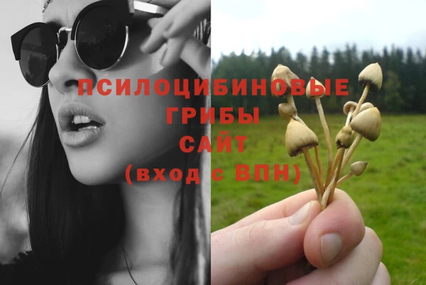 мяу мяу мука Заволжск