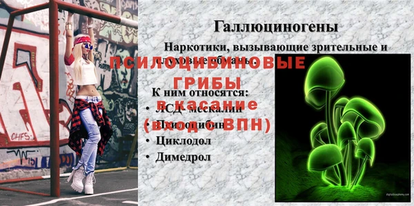 мяу мяу мука Заволжск