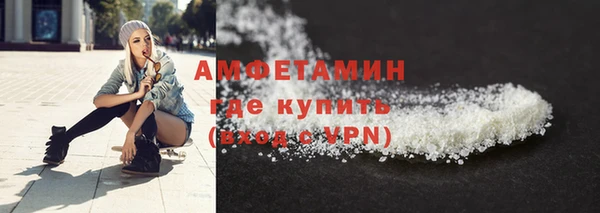 шишки Заводоуковск