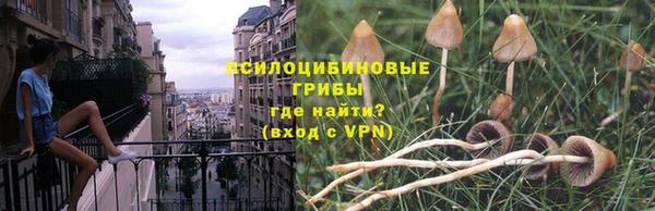 шишки Заводоуковск