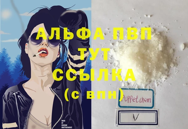 шишки Заводоуковск